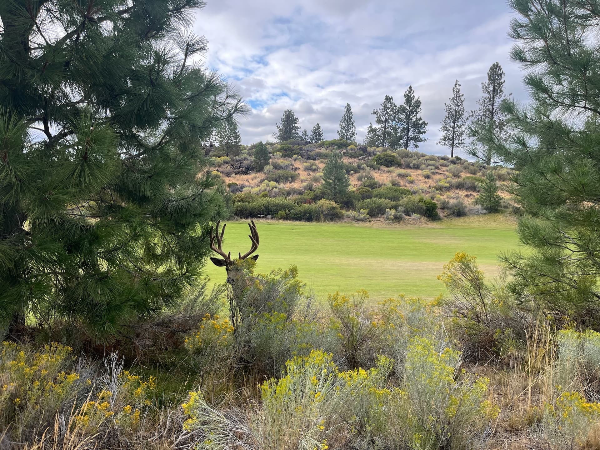 Trip photo 15