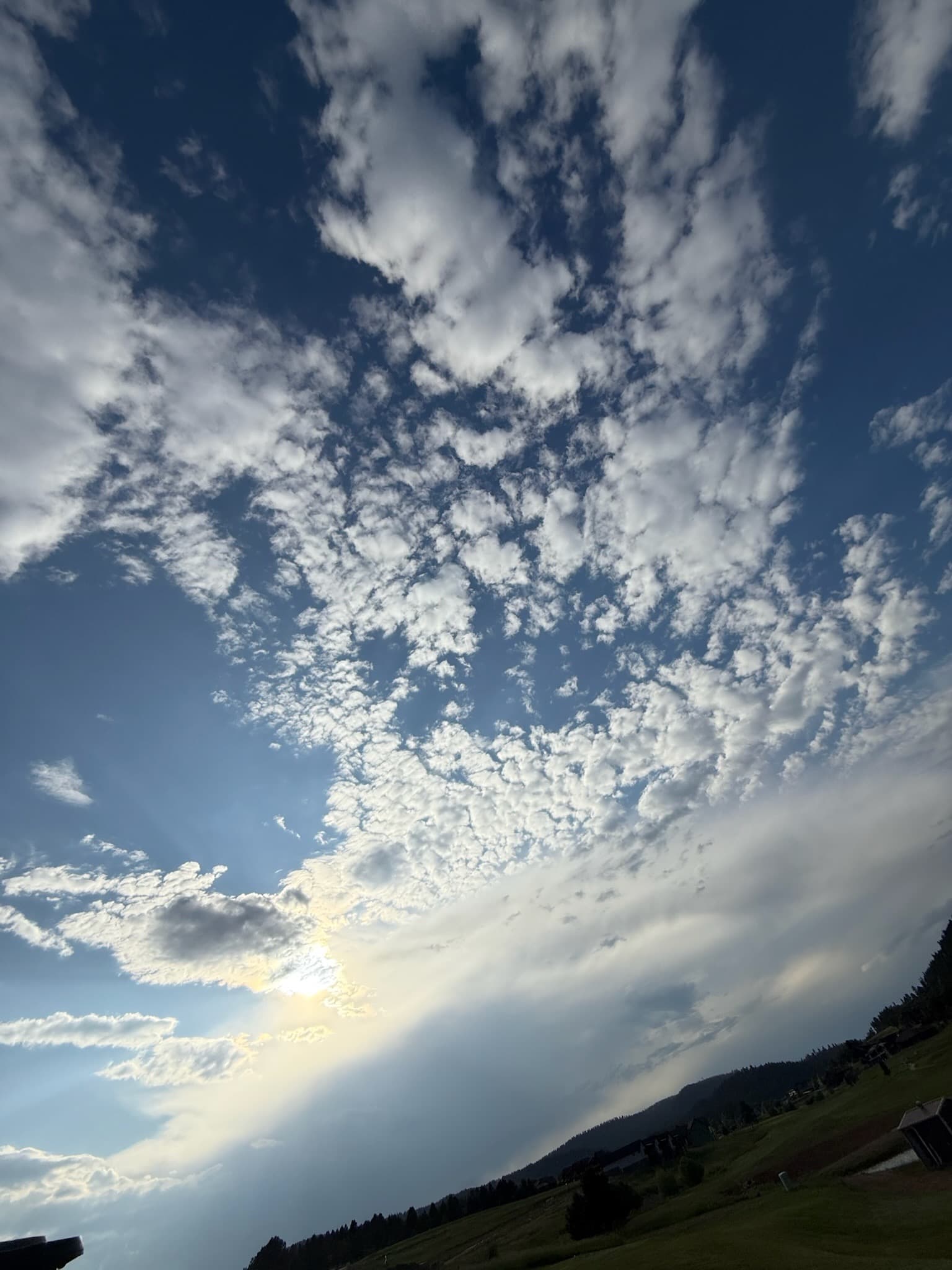 Trip photo 41