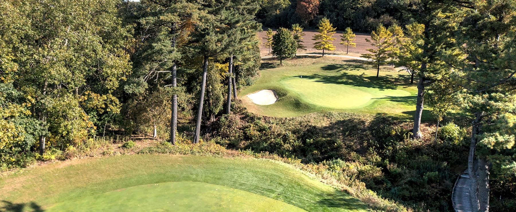 The Bull at Pinehurst Farms